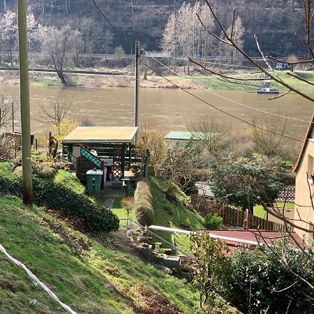 Haus Bergfriede Otel Bad Schandau Dış mekan fotoğraf